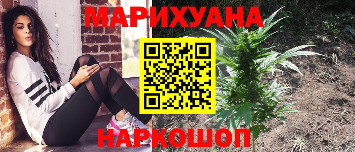 Бошки марихуана планчик  Конопля индика  Вход с VPN  Бошки марихуана семена  Ленинск-Кузнецкий 